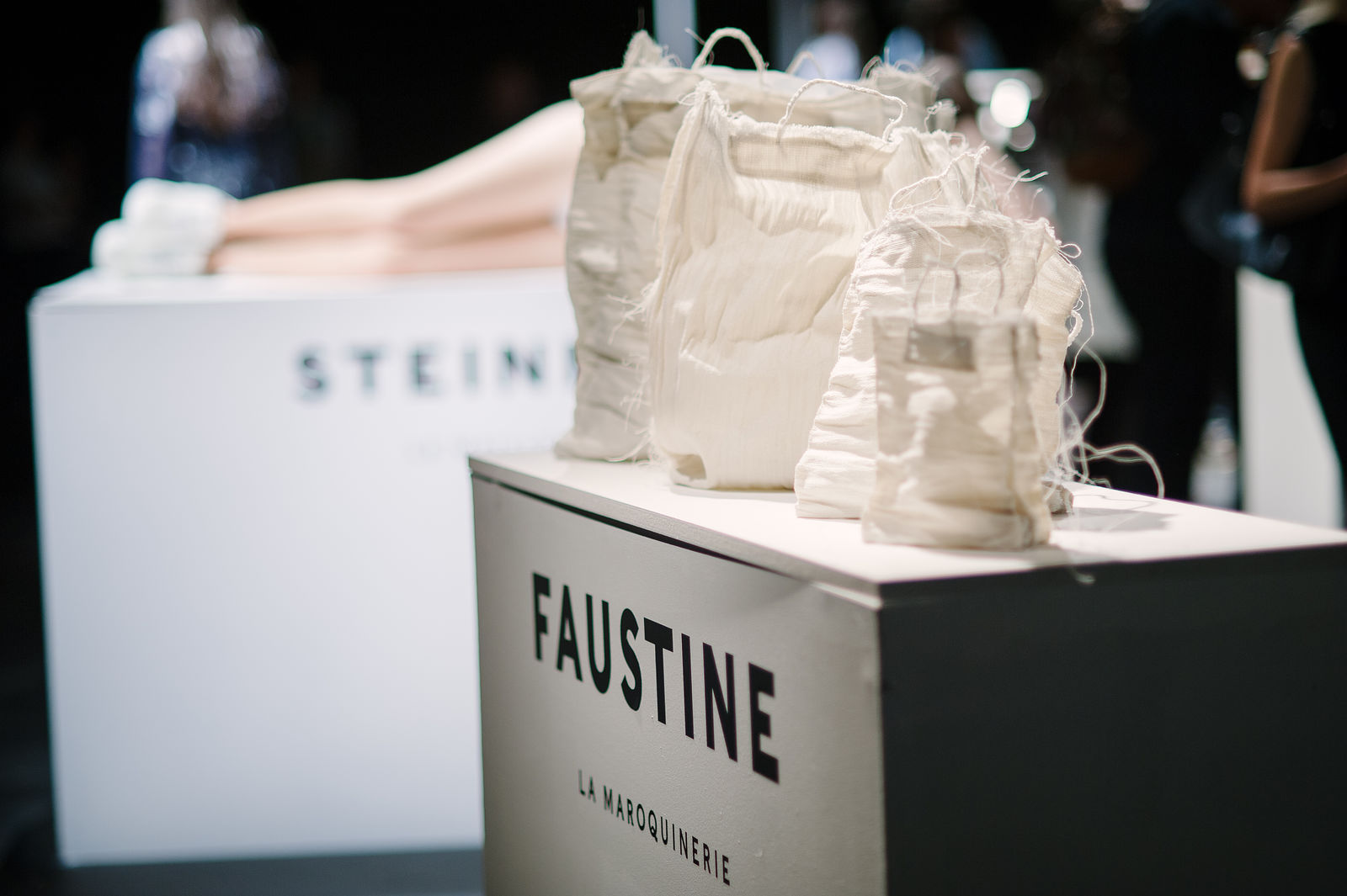 Faustine Steinmetz