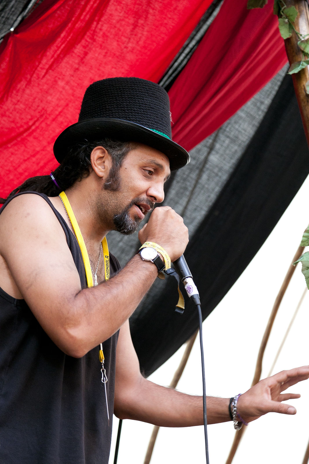 Shambala Festival 2011