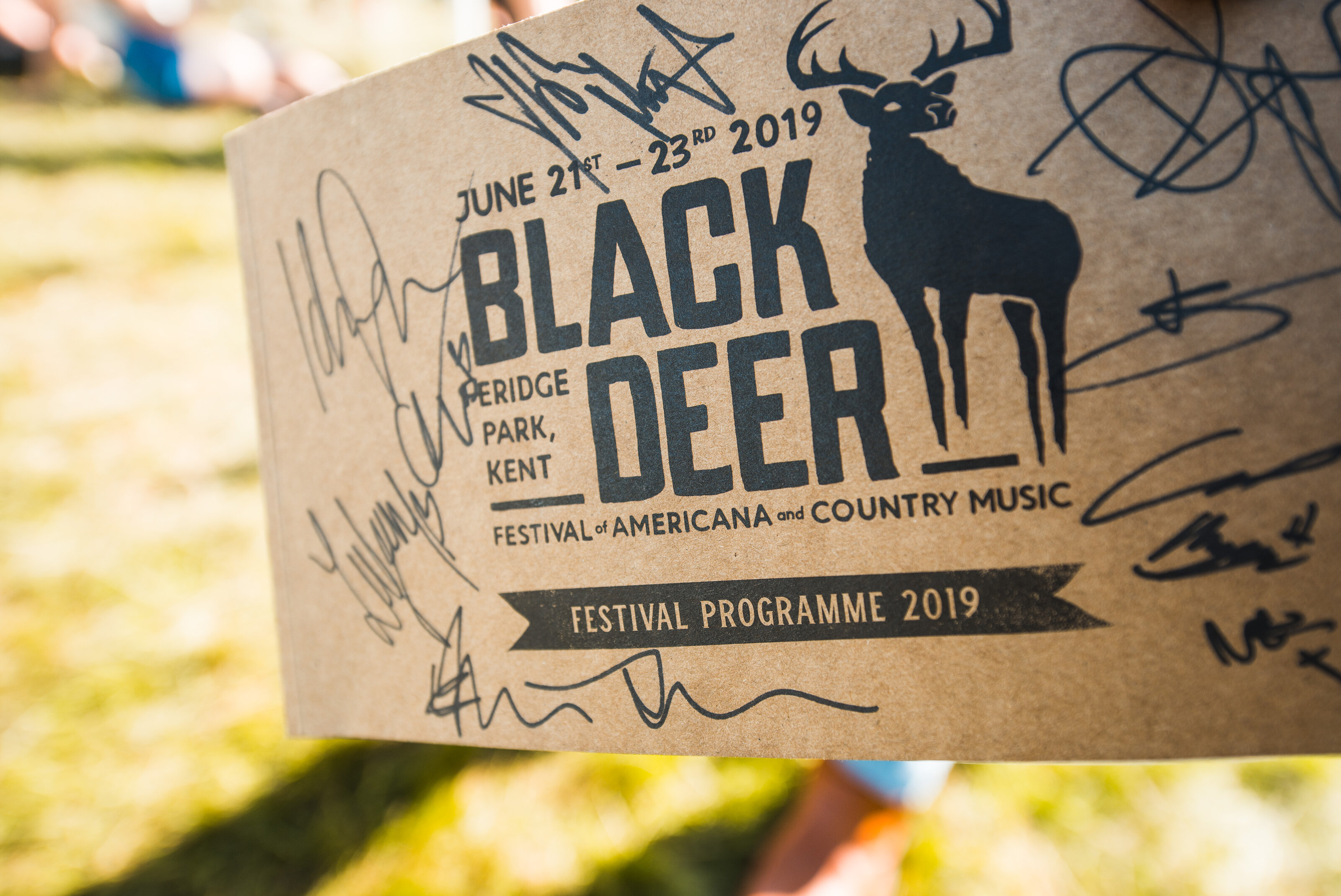 Black Deer Festival Gallery