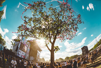 Wireless Festival | Gallery