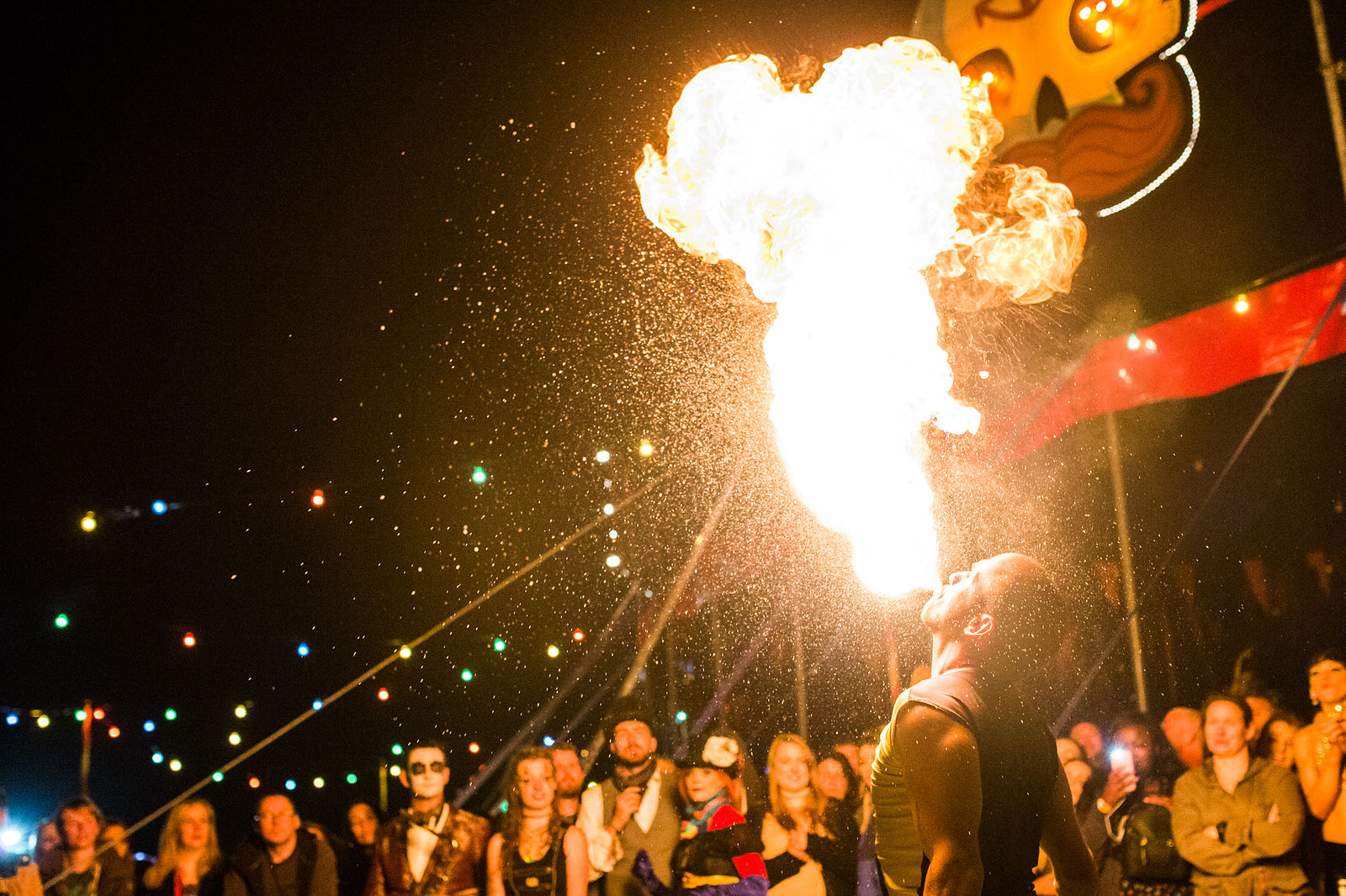 Electric Picnic | Gallery | Fire Show